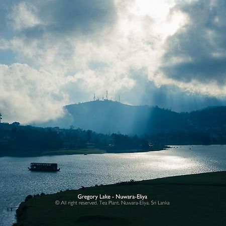 Tea Plant Nuwara Eliya 빌라 외부 사진